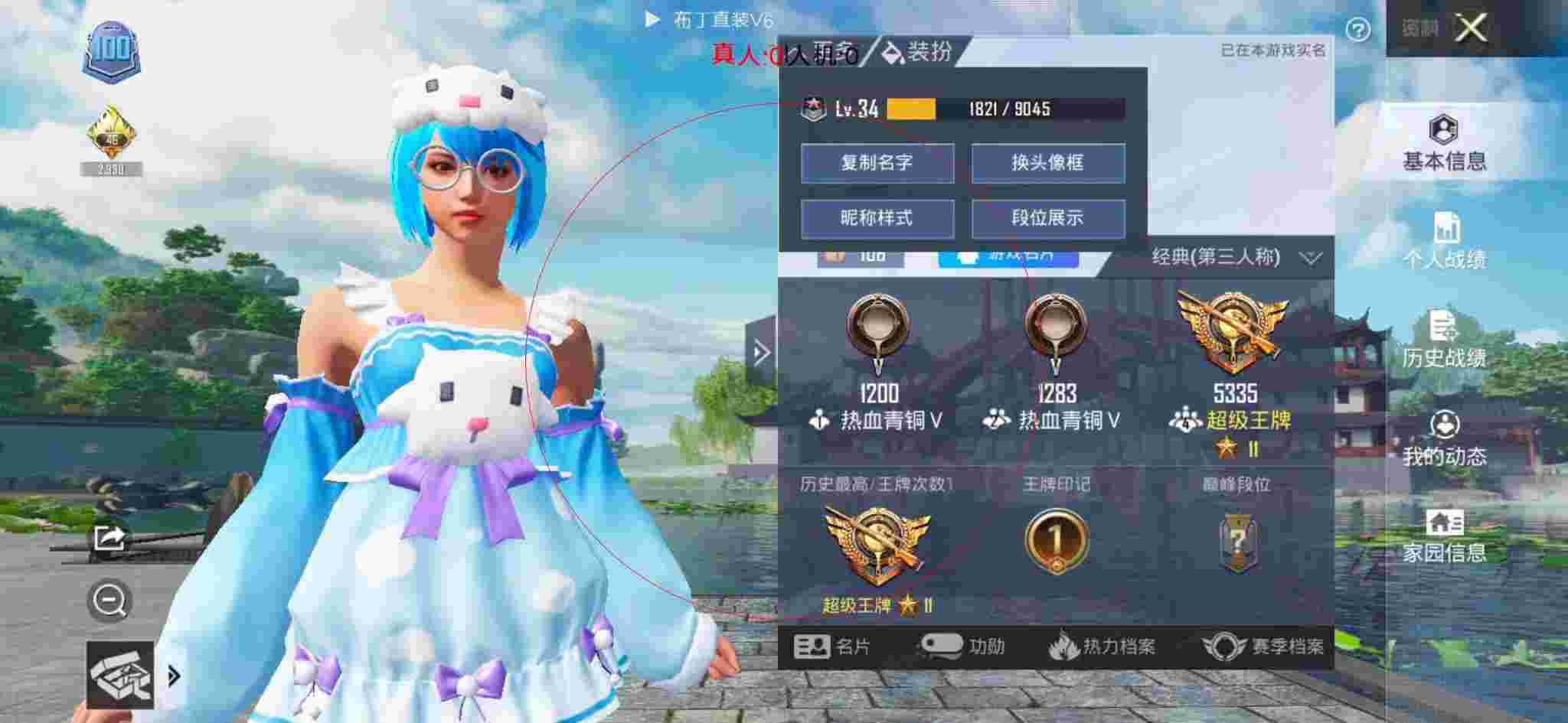 和平精英布丁直装透视 - 和平辅助店卡包效果图高清辅助预览图